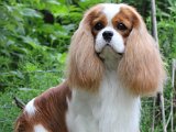 Ray 2yrs Wood July 2016-22.jpg